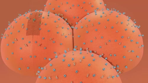 Animated Cellular Repair Process with Molecular Interactions