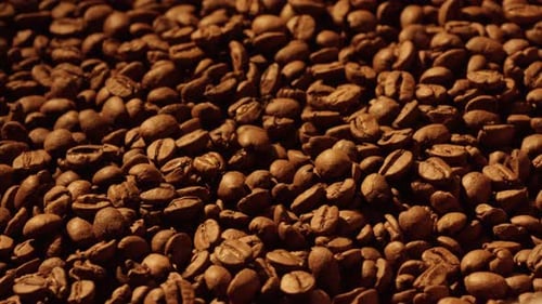 Roasted Coffee Beans in Close-Up Detail