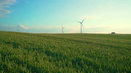 Wind Turbines in a Green Field on a Sunny Day