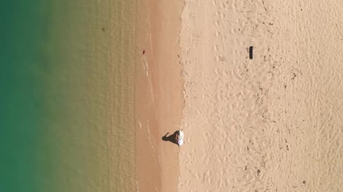 Person Walk Along Sea Shore Sand Beach Aerial View