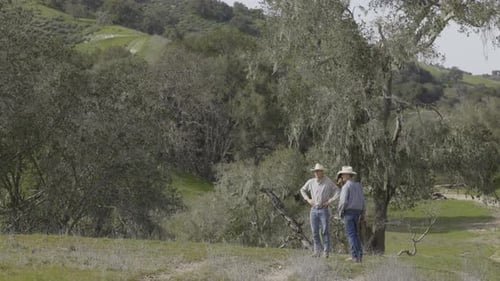 Cowboys Admiring the Landscape in California