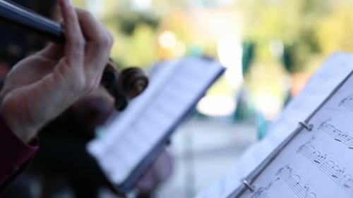 A Musician Plays the Violin