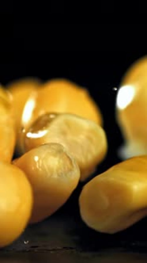 Canned Corn Falls on a Wet Table Filmed on a Highspeed Camera at 1000 Fps