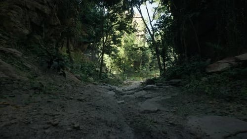 Serene Dirt Road Surrounded By Trees and Rocks Mountain Path