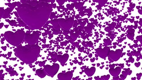 Glossy Purple Hearts Falling on White Background Seamless Loop