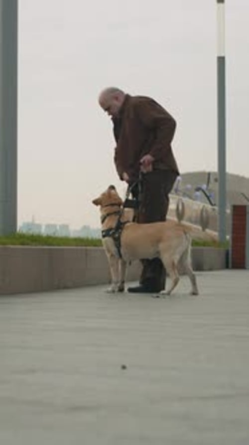 Senior Adult Petting Two Dogs Outside