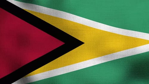 Guyana Flag Waving Loop Realistic Fabric Texture Animation