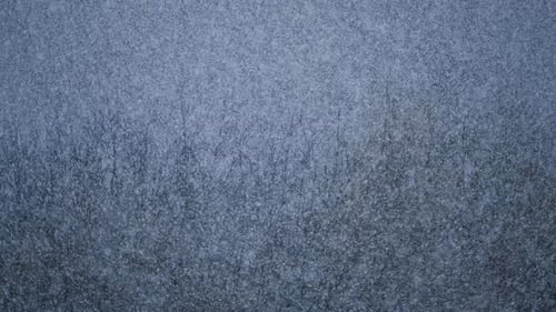 Snow Falling Over Forest Landscape Creating Peaceful Atmosphere