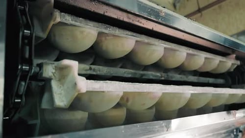 Dough Balls Moving on Conveyor Belt in Factory