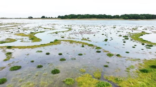 Aerial view of river tyne and marshland, Scotland.