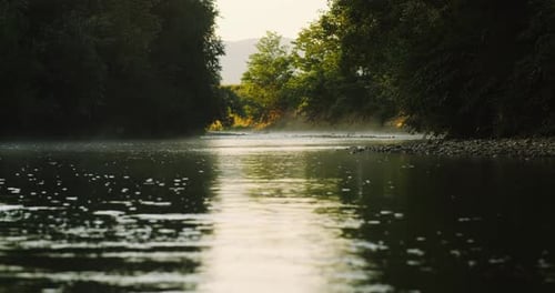 Fog on mountain river. Golden sunlight rising moving orange mist on water surface Forest background