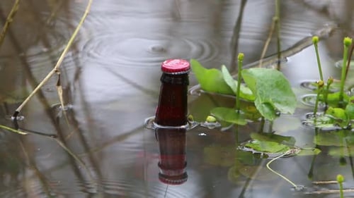 Bouteille flottant dans l'étang. Angleterre.
Royaume-Uni