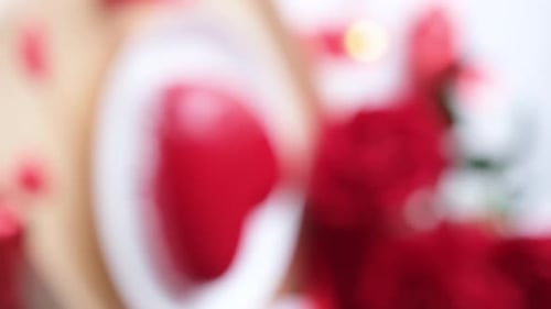 Sweet Dessert and Red Roses for Romance