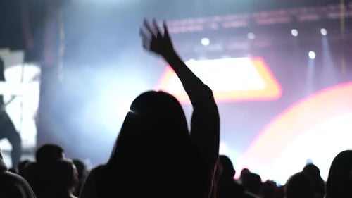 Crowd Enjoying Concert at Night