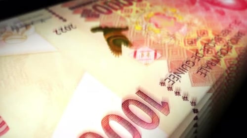 Guinea francs money counting seamless loop