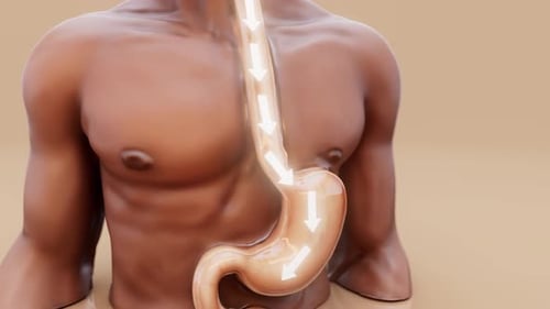 Conceptual 3D animation of a man showing stomach anatomy