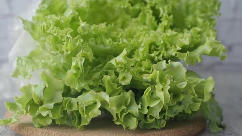 Green Lettuce Leaves on a Chopping Board on Table