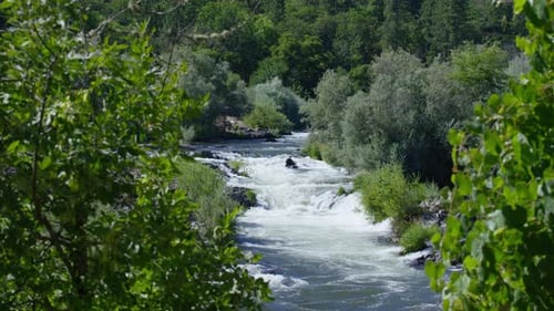 White water rapids flowing down the rouge river in beautiful Oregon USA