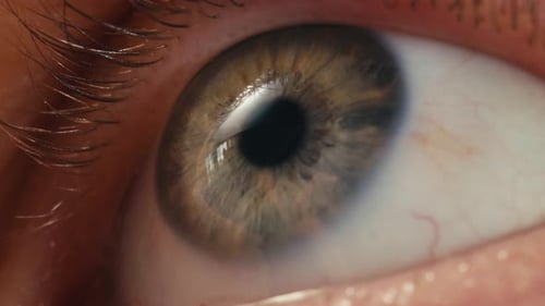 Macro Photo of a Detailed Blue Eye with Strong Gaze Showing Human Anatomy and Beauty