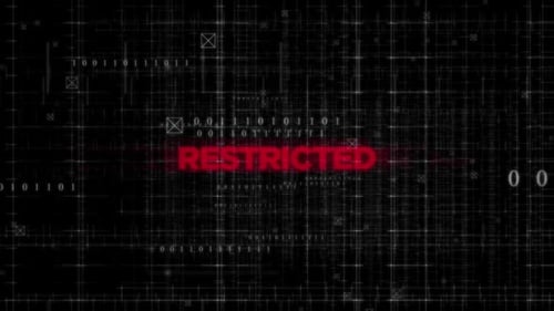 Digital Glitch Grid Logo Reveal with Binary Code