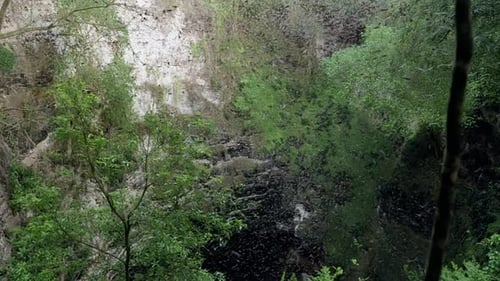 Massive bat swarm spiraling from Volcan de los Murcielagos cave