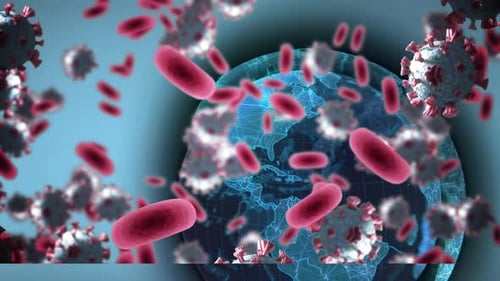 Animation of covid 19 and red blood cells floating over globe on blue background
