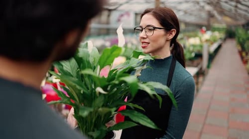 Over Shoulder a Man Holding a Plant in Pot with White Flowers and Talking to Young Female Gardener