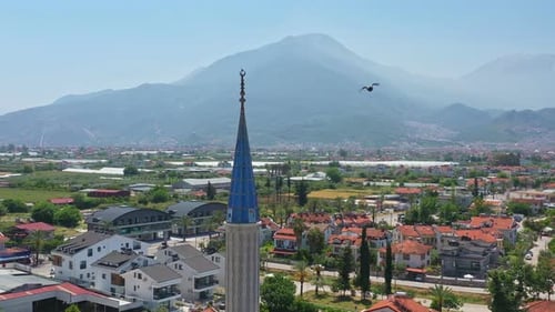 Mosque Minaret with Big Crow Flying Toward Camera