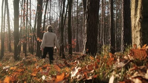 Female in the middle of autumn forest at sunny day, slow motion