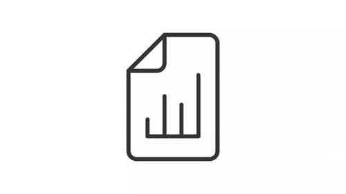 Minimalist Document Bar Graph Line Icon Animation