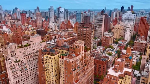 Árboles y arbustos crecen en los tejados de los diversos edificios de varios pisos.