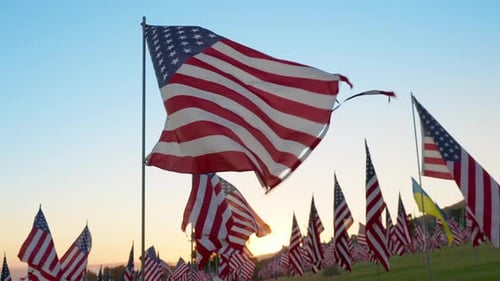 Sunset American Flags Waving in Malibu Patriotic Memorial