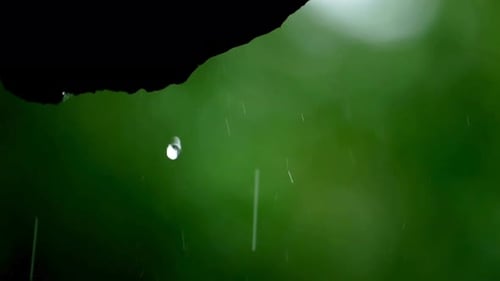 Water Drop Falling
