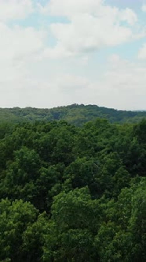 Vertical Aerial Of Lush Green Arkansas Forest Mountains And Luxury Cabin