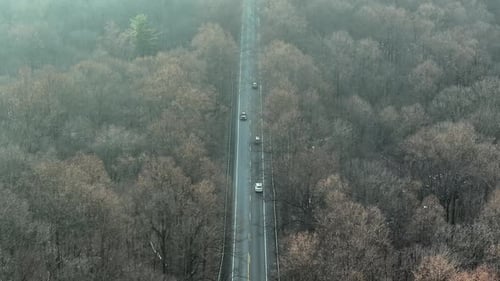Traffic on suburb intersection between leafless trees in winter season. Foggy and misty December day