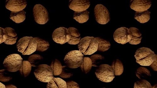 Walnuts Floating on a Black Background