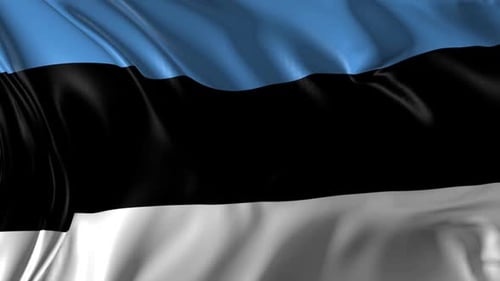 Realistic Waving Flag of Estonia Animation