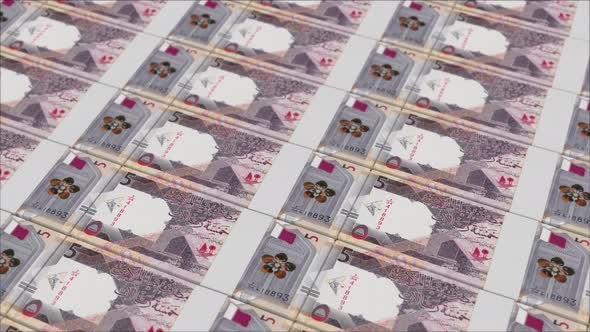 5 QATARI RIYAL banknotes printed by a money press, Infographics Motion ...