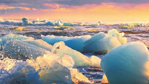 Icebergs Shining on a Black Beach During Golden Hour Sunrise on Diamond Beach in Iceland Clear Ice