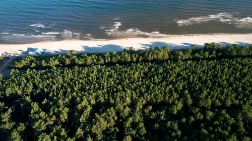 Aerial flyover dense forest trees and sandy beach with tranquil Baltic Sea in summer - Poland,Europe