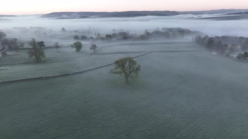 Misty morning meadow with beautiful shadows and sunbeams in fog