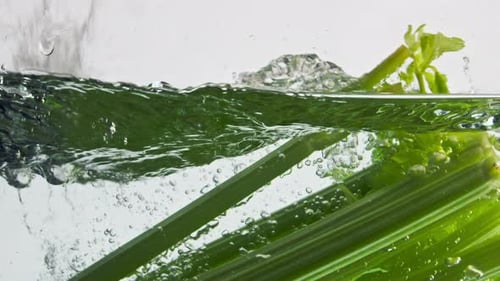 Celery Stalks Splashing into Water