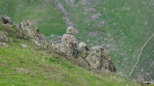 Camouflaged Person Sitting Still on Grassy Hillside