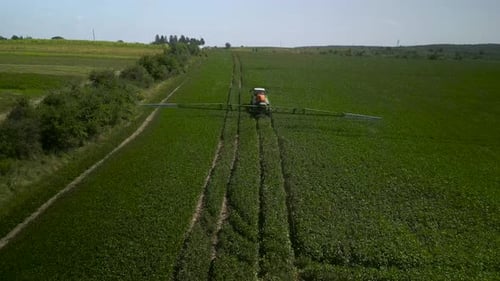 Spray Fertilize On Field With Chemicals In Agriculture Field