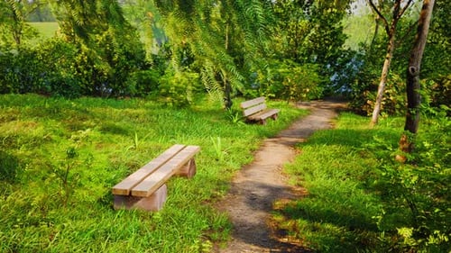 Beautiful Bench in the Park at Spring Sunny Day