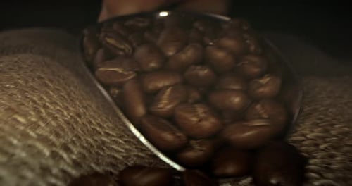 Coffee Beans Pouring on Burlap Material Close Up