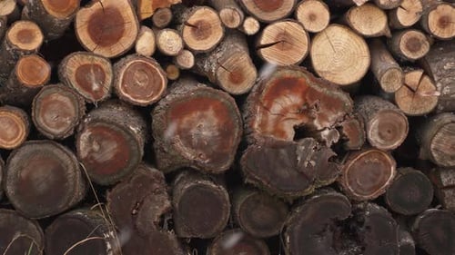 Brennholz-Hintergrund, Fire Wood Stacked Winter Season