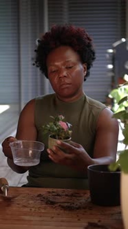 A Woman Nurturing Plants in a Bright Elegant Indoor Space Full of Greenery and Life