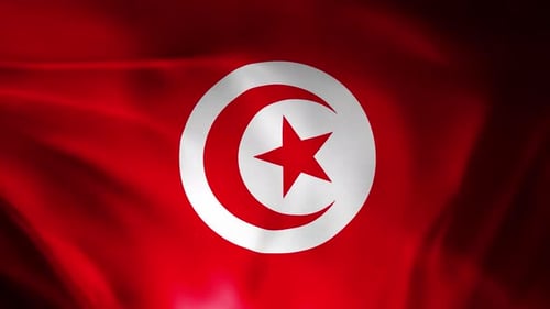 Waving Flag of Tunisia Animation Loop