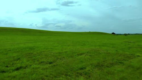 Slow fly over green grass field, blue sky and grey clouds, aerial shot, cinema look